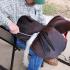 Mike Corcoran Saddle Fitting Clinic
